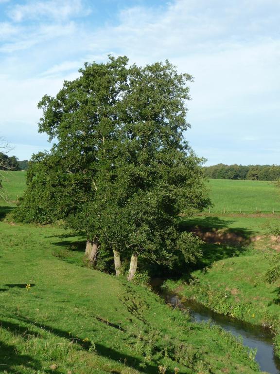 Birtles Farm Bed&Breakfast Knutsford Extérieur photo